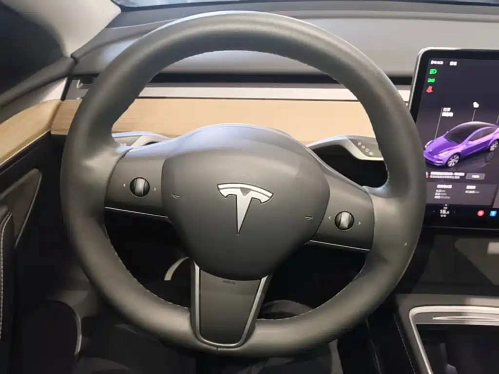 Tesla Model Y 2023 — фото 11
