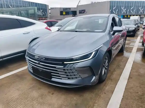 BYD Destroyer 05 2024