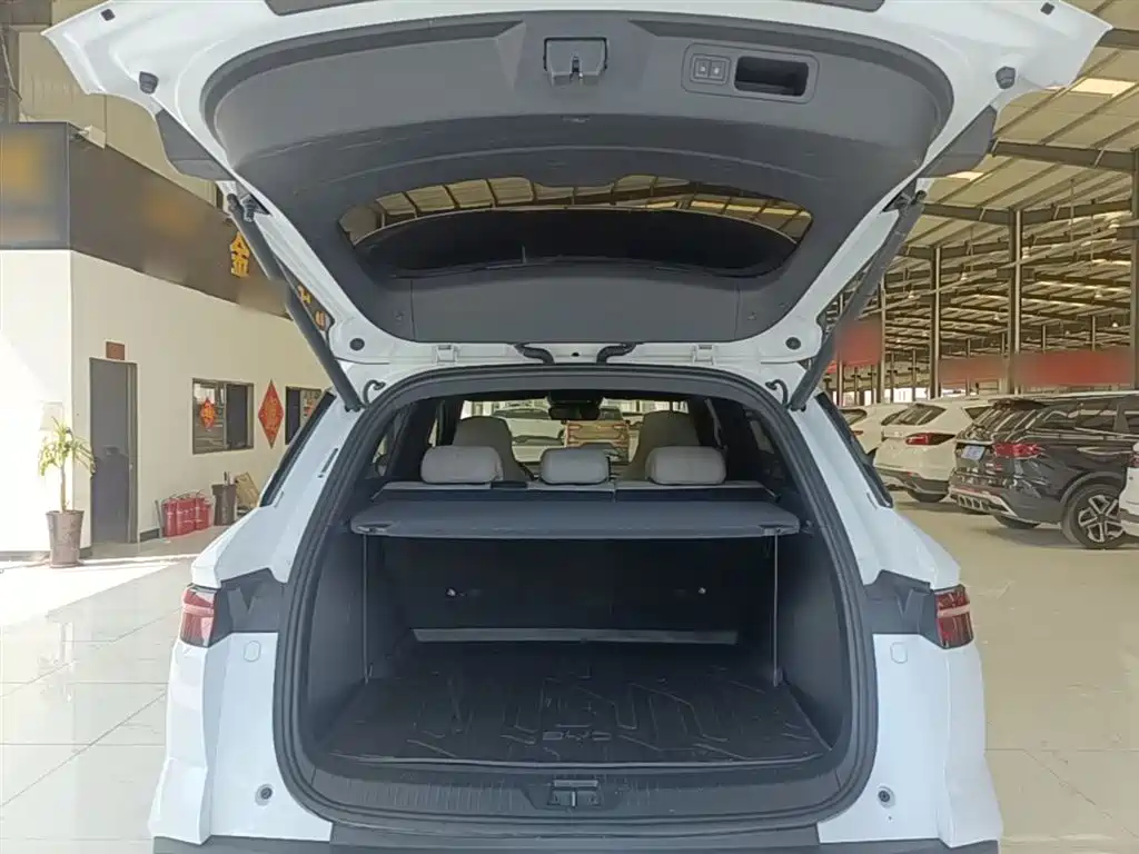 BYD Pro New Energy 2024 — фото 19