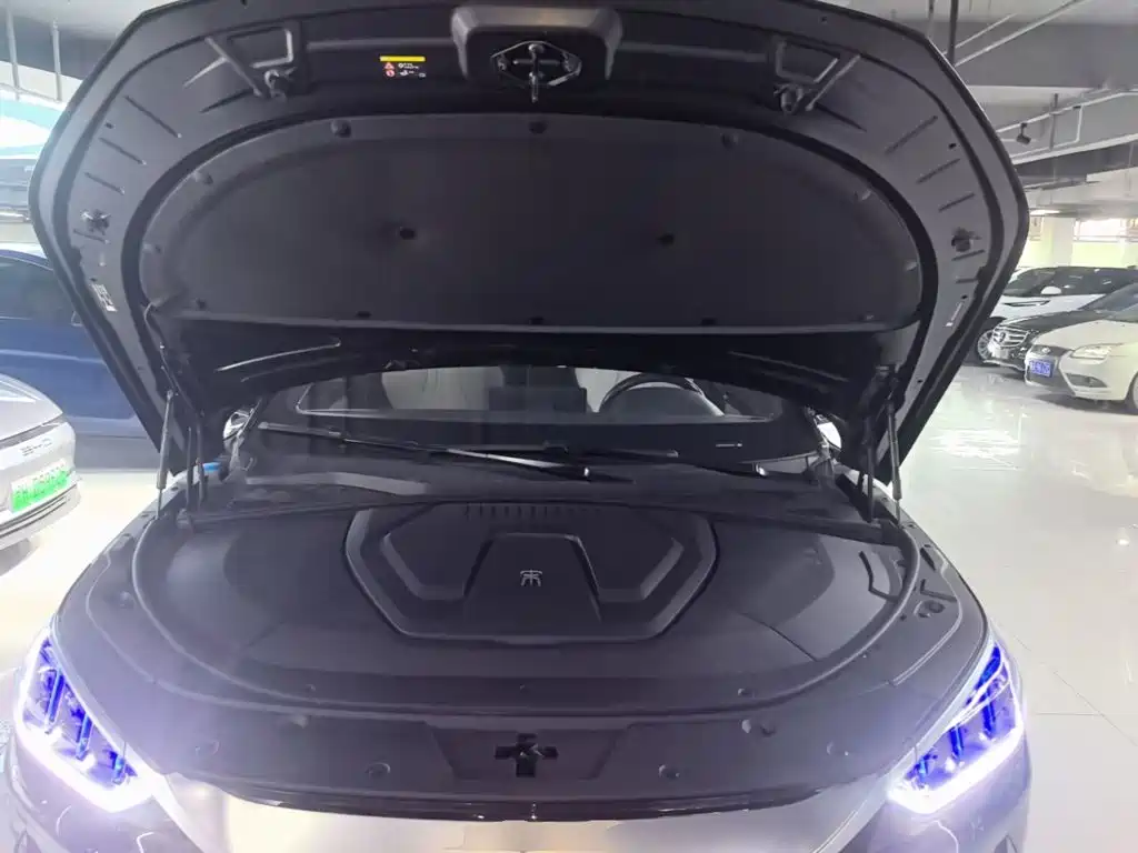 BYD Song PLUS New Energy 2023 — фото 20