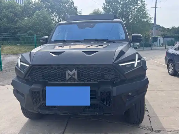 Mengshi 917 2024