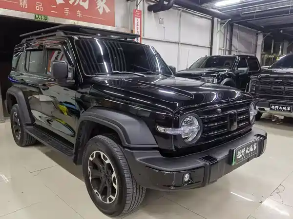 Tank 300 New Energy 2025