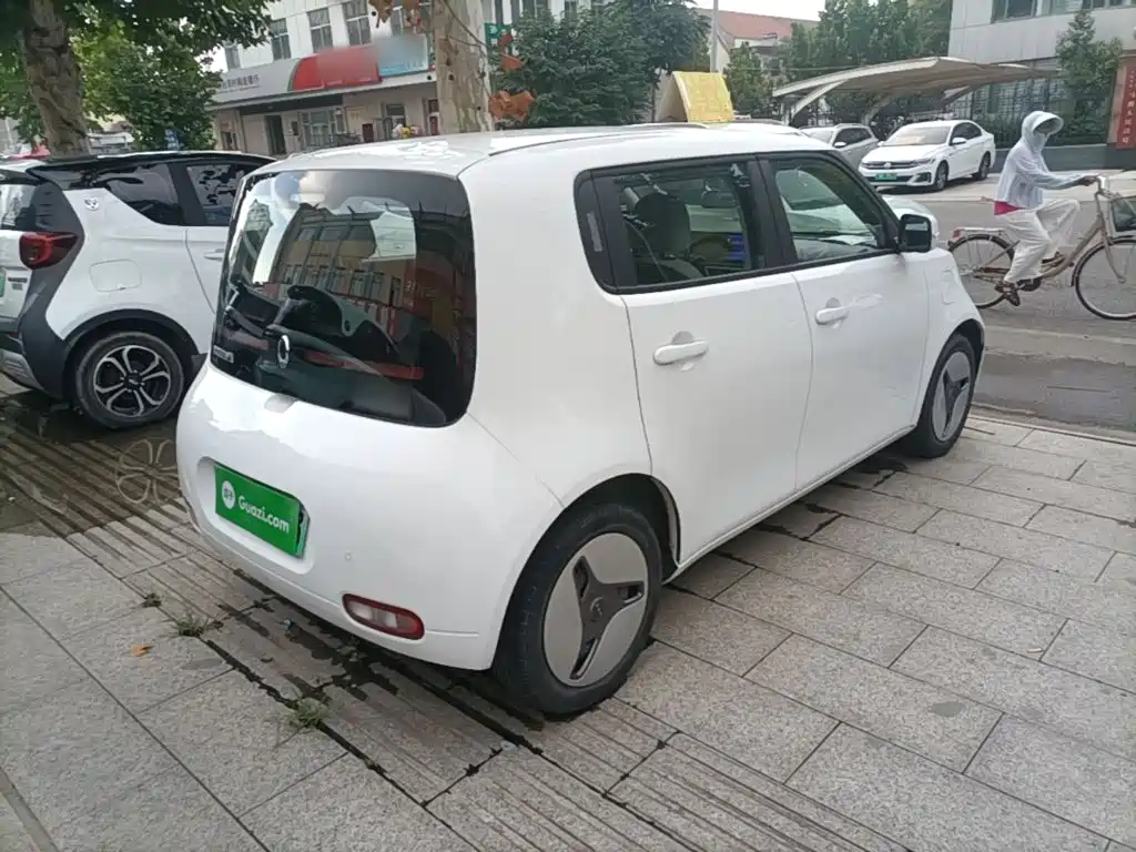Ora White Cat 2020