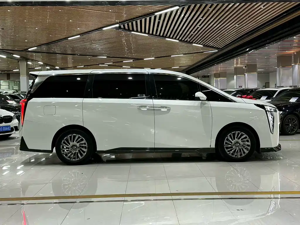 GAC Motor Trumpchi M8 2023 — фото 5