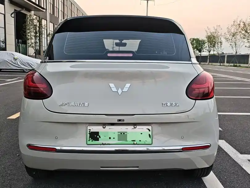 Wuling Bingo 2024