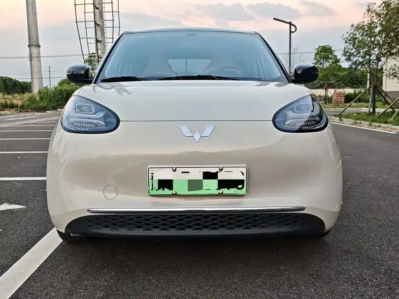 Wuling Bingo 2024