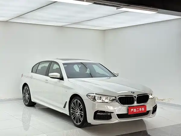 BMW 5 Series 2019