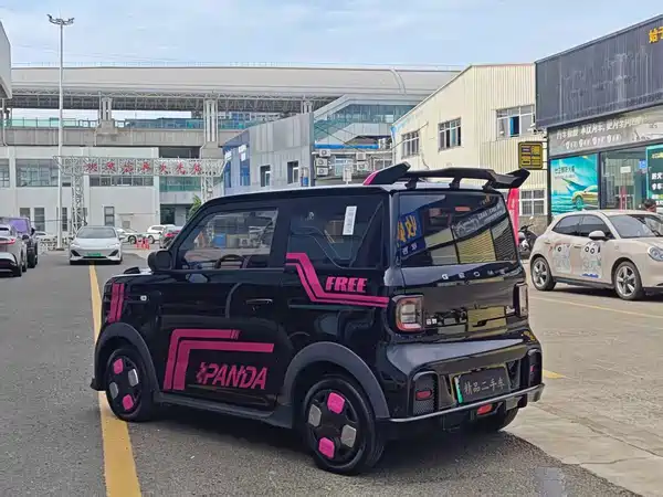 Geely Galaxy Panda 2024