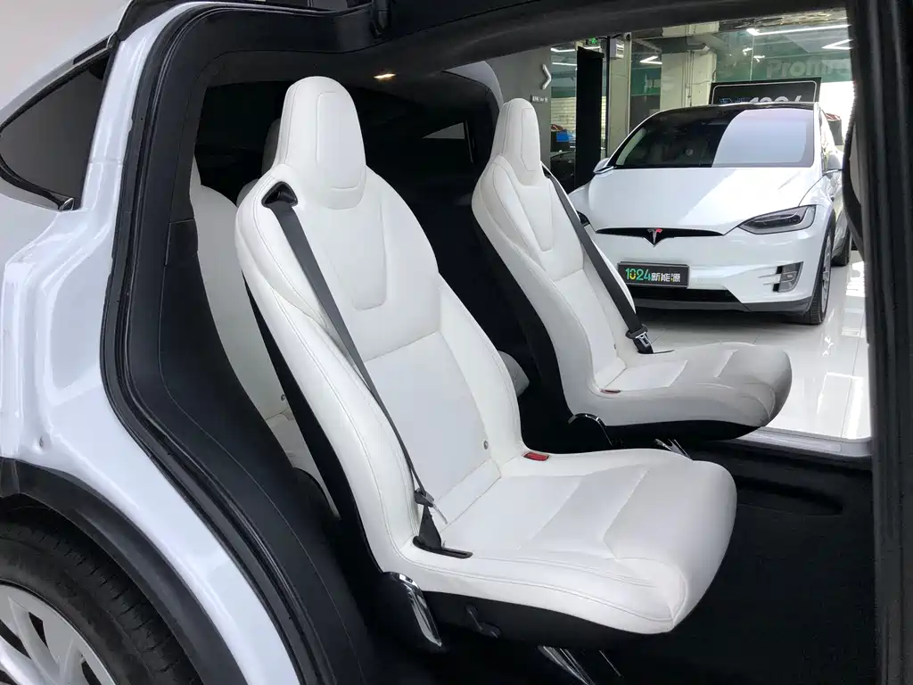 Tesla Model X 2019 — фото 17