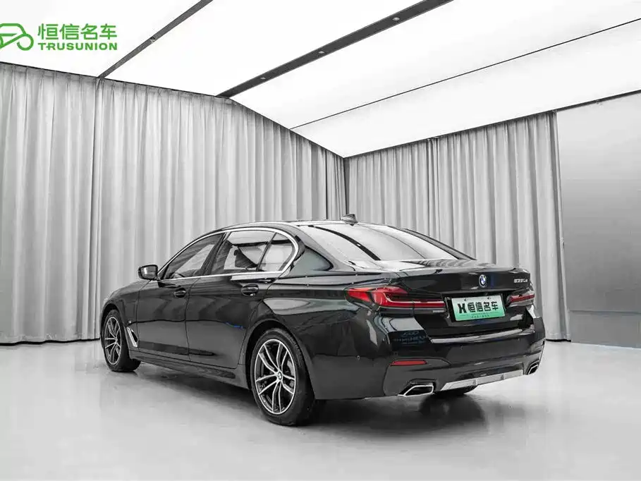 BMW 5 Series New Energy 2021
