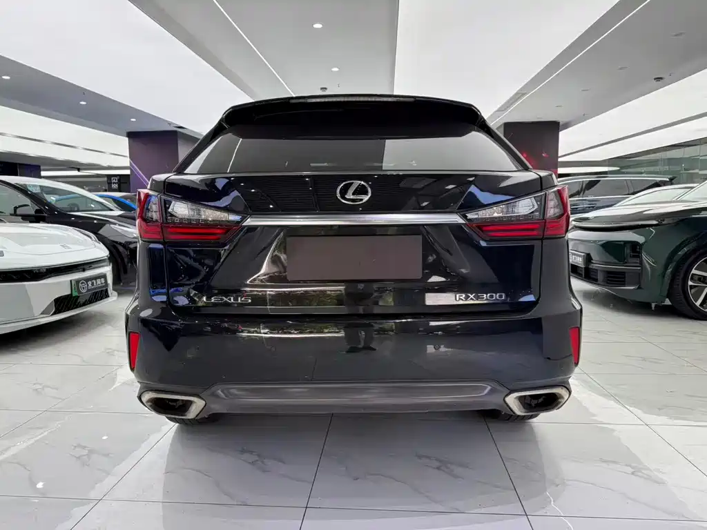 Lexus RX 2018 — фото 10