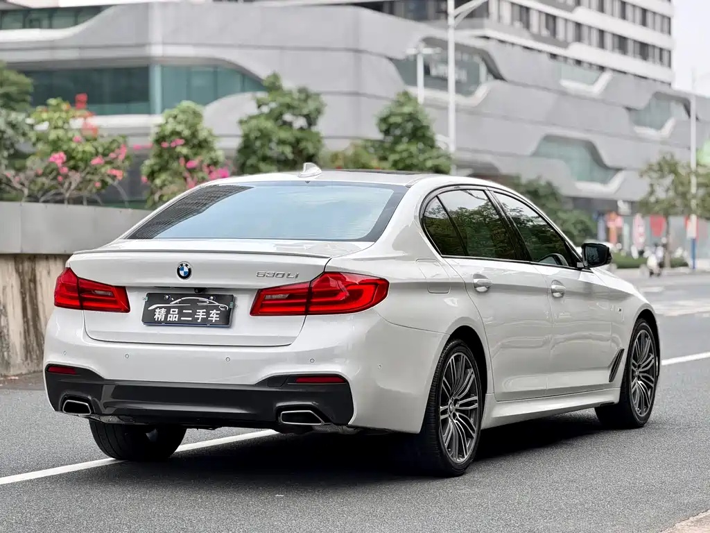 BMW 5 Series 2018 — фото 6