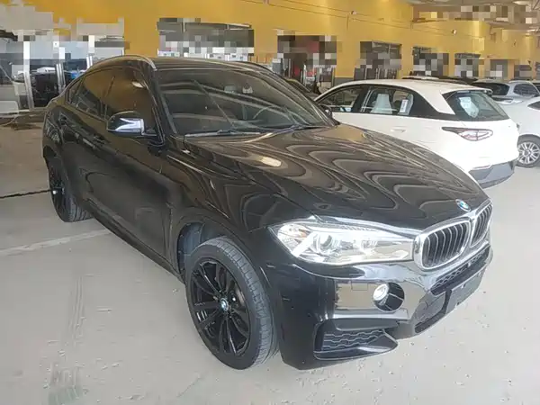 BMW X6 2019