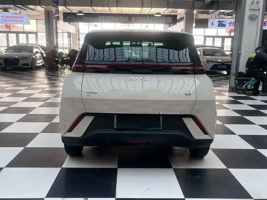 BYD Seagull 2025