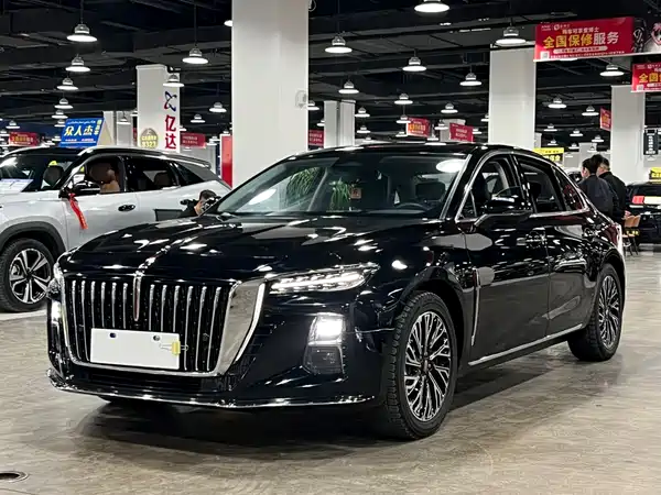 Hongqi H5 2024