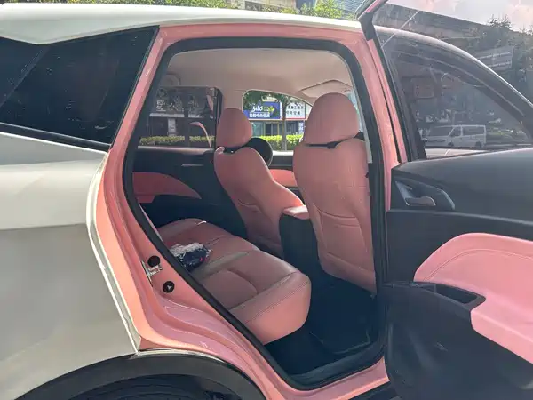 Neta V 2022