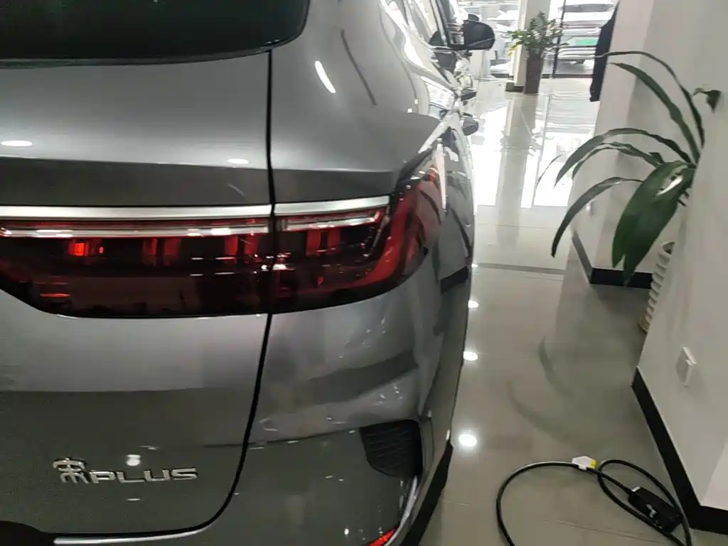 BYD Song PLUS New Energy 2022 — фото 8