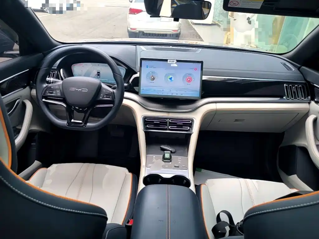 BYD Song PLUS New Energy 2024 — фото 10