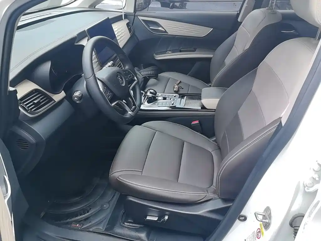 BYD Song MAX New Energy 2023 — фото 15