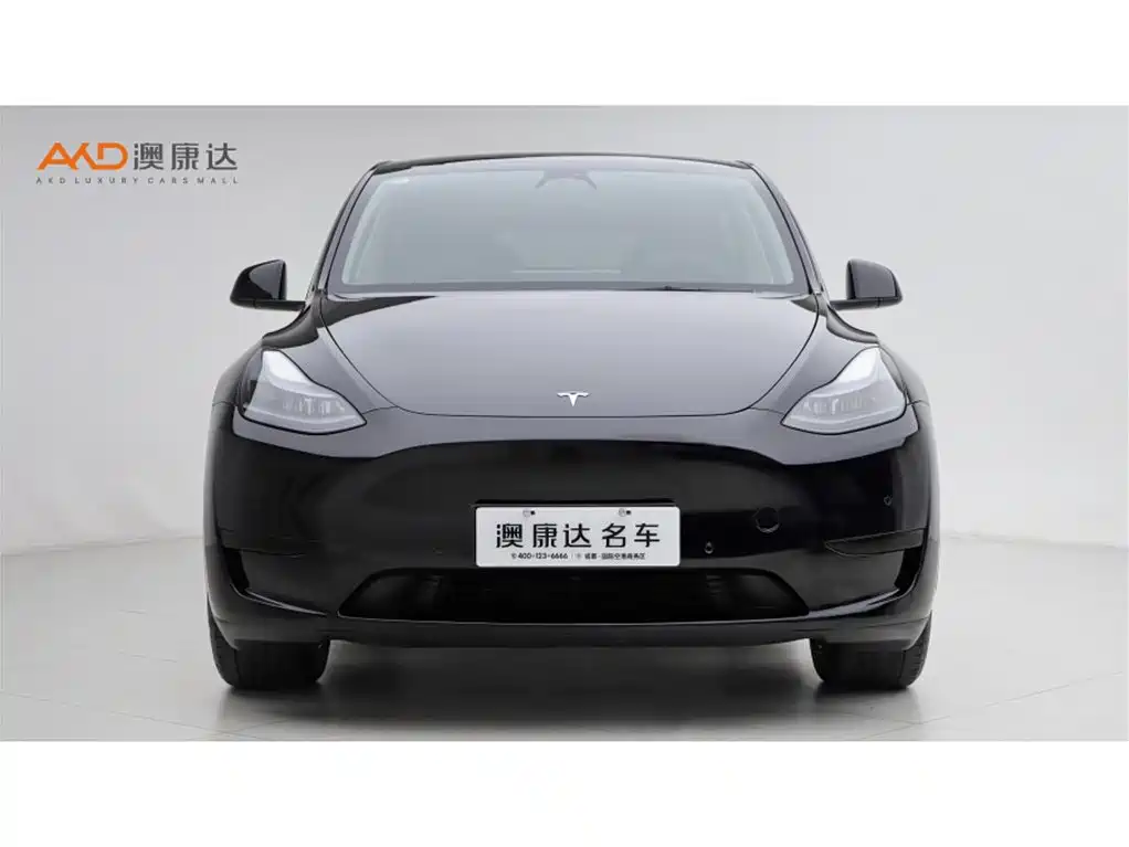 Tesla Model Y 2023 — фото 2