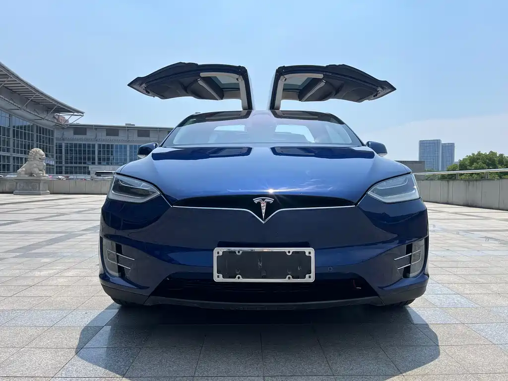 Tesla Model X 2017 — фото 2
