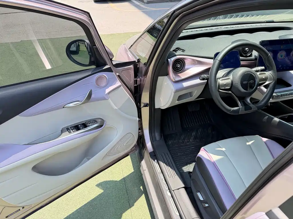BYD Dolphin 2021
