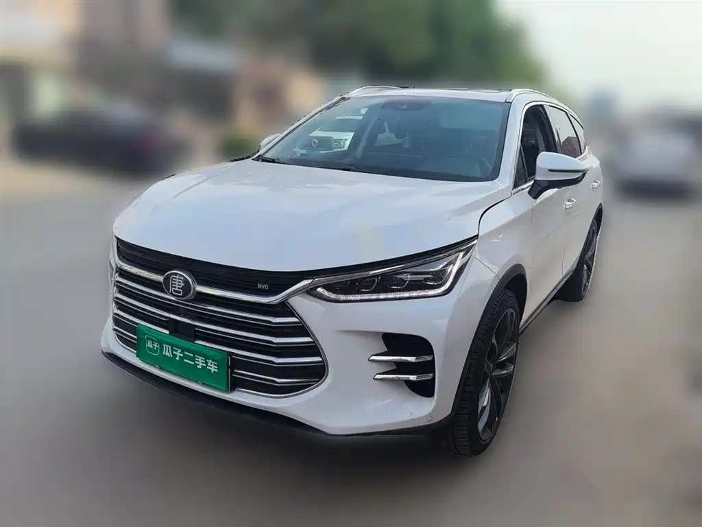 BYD Tang New Energy 2021 — фото 2