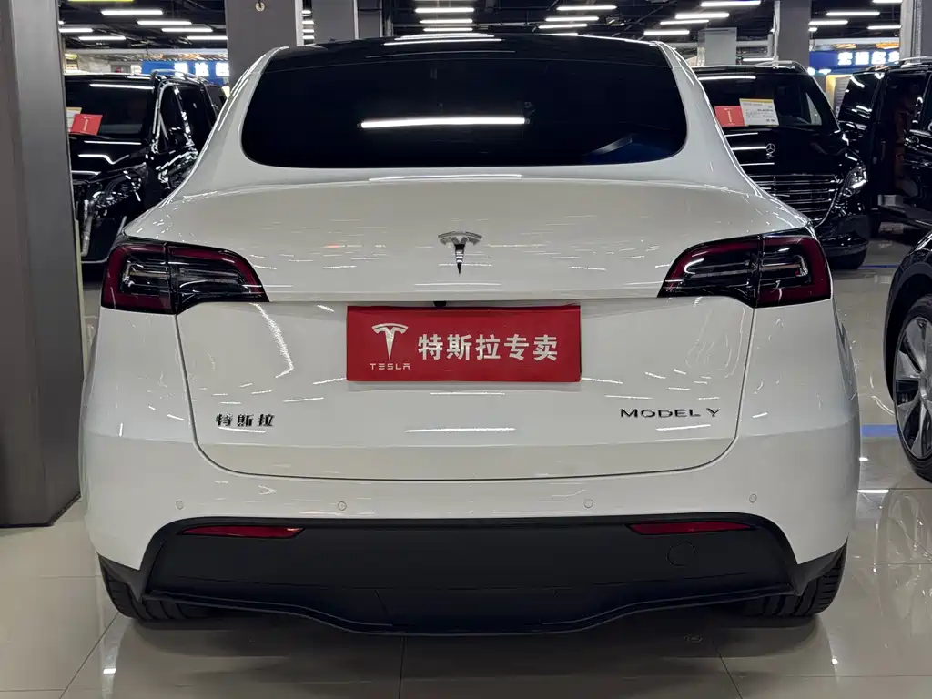 Tesla Model Y 2023 — фото 8