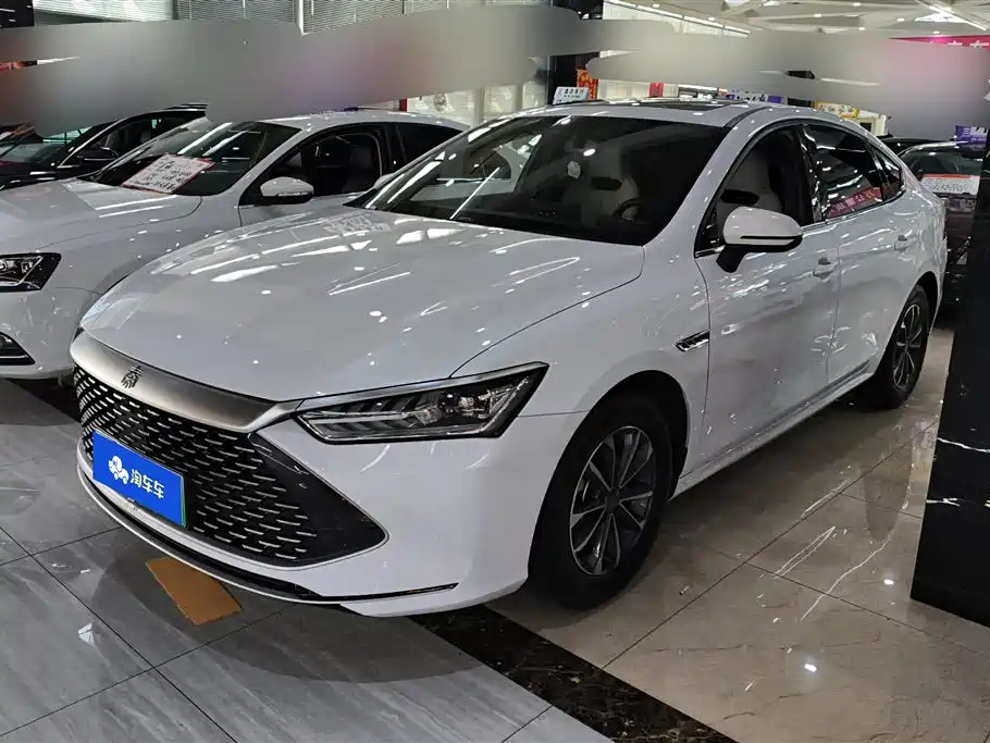 BYD Qin PLUS 2024 — фото 1