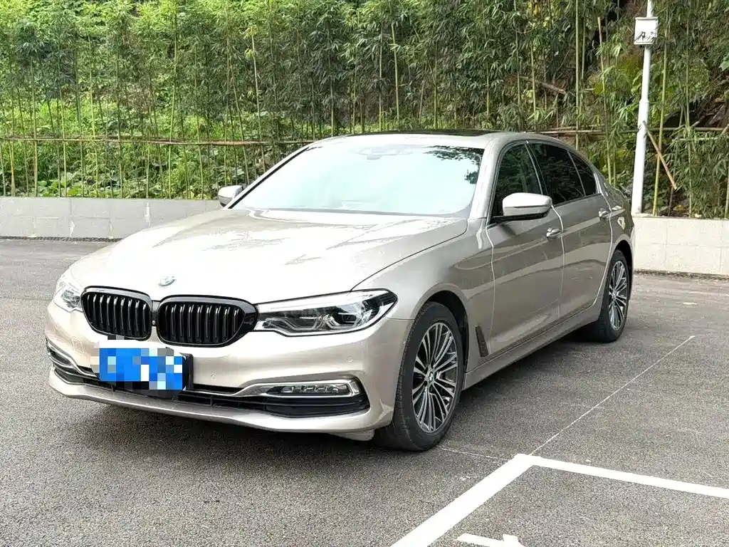 BMW 5 Series 2018