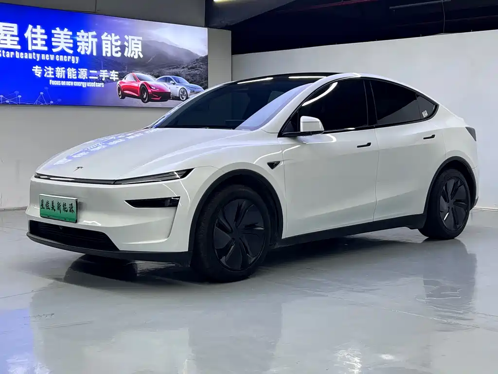 Tesla Model Y 2025 — фото 1
