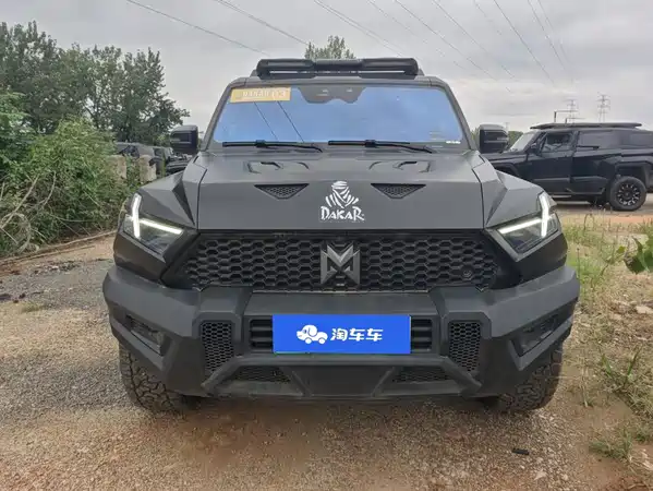 Mengshi 917 2025