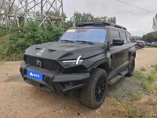 Mengshi 917 2025