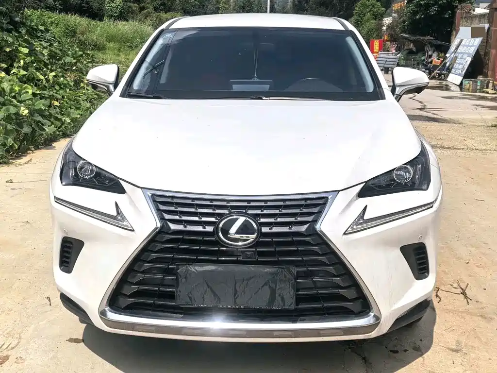 Lexus NX 2020 — фото 2