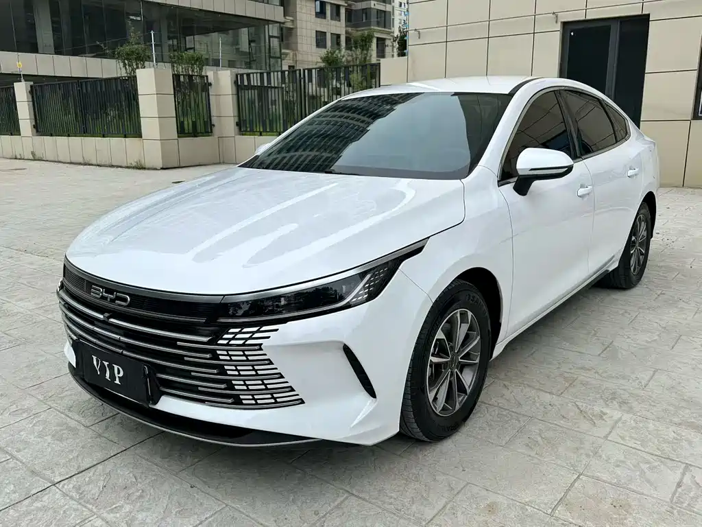BYD Destroyer 05 2025 — фото 1