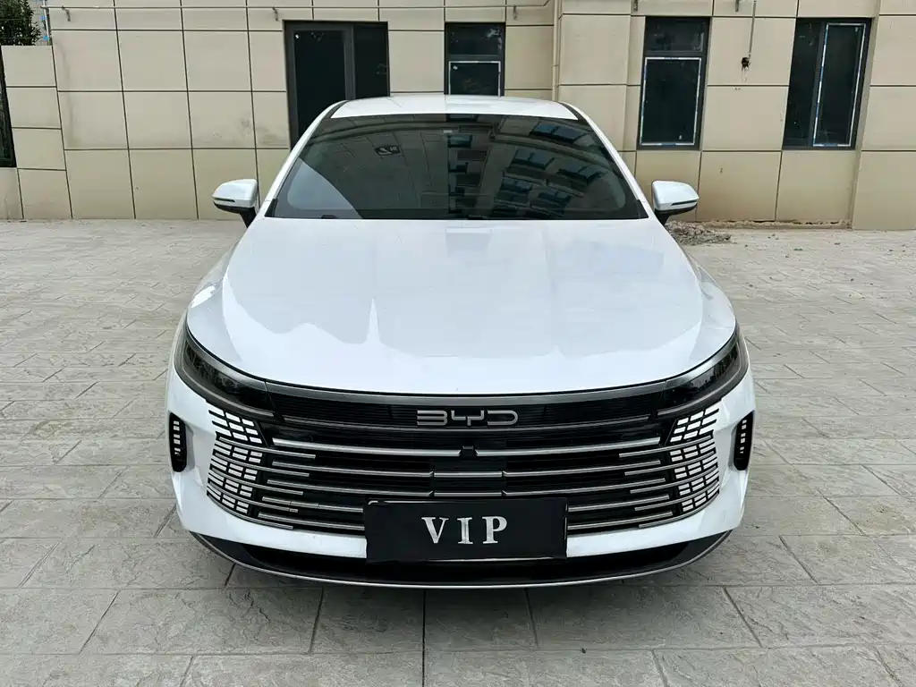 BYD Destroyer 05 2025 — фото 2