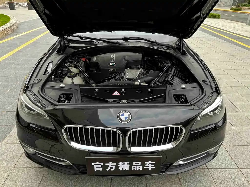 BMW 5 Series 2016 — фото 19