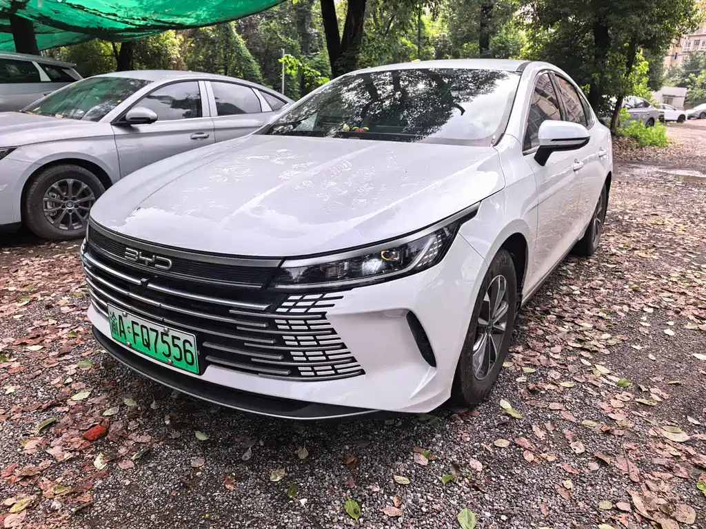 BYD Destroyer 05 2023 — фото 1