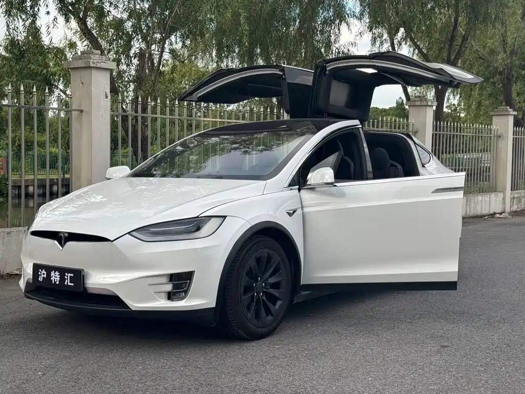 Tesla Model X 2020 — фото 17