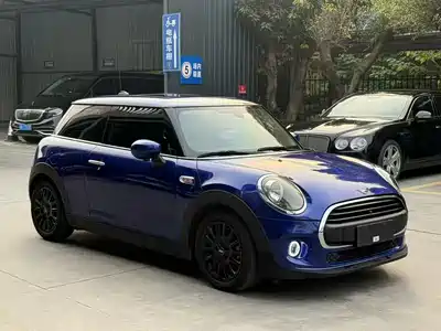 MINI MINI 2018