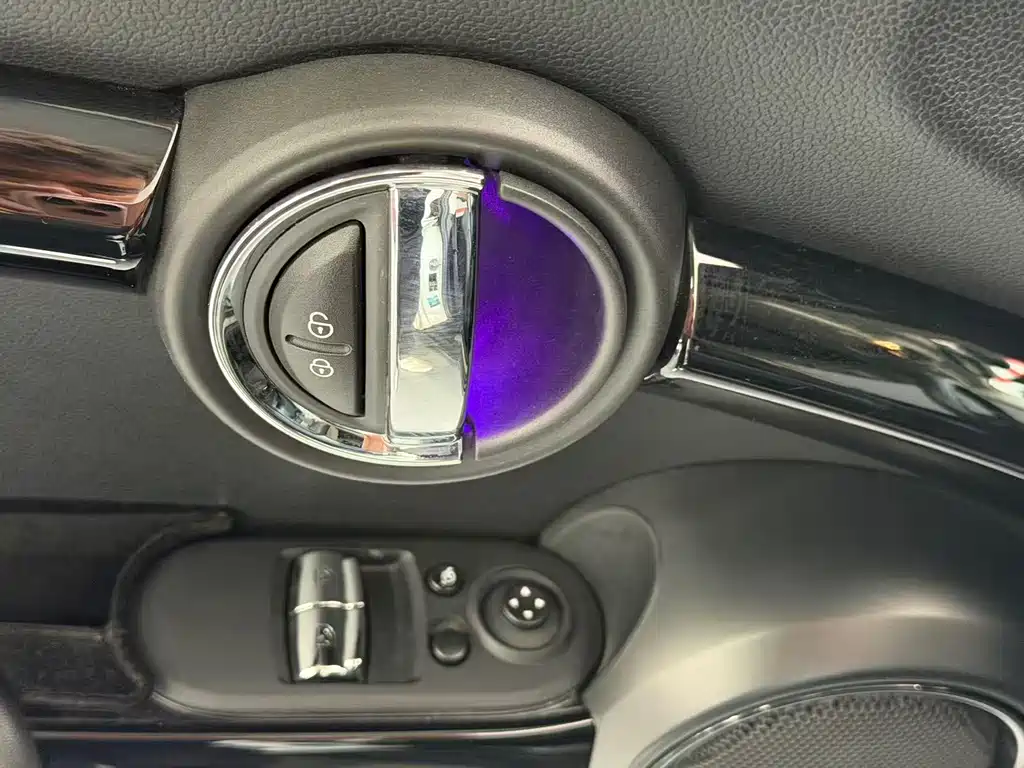 MINI MINI 2019