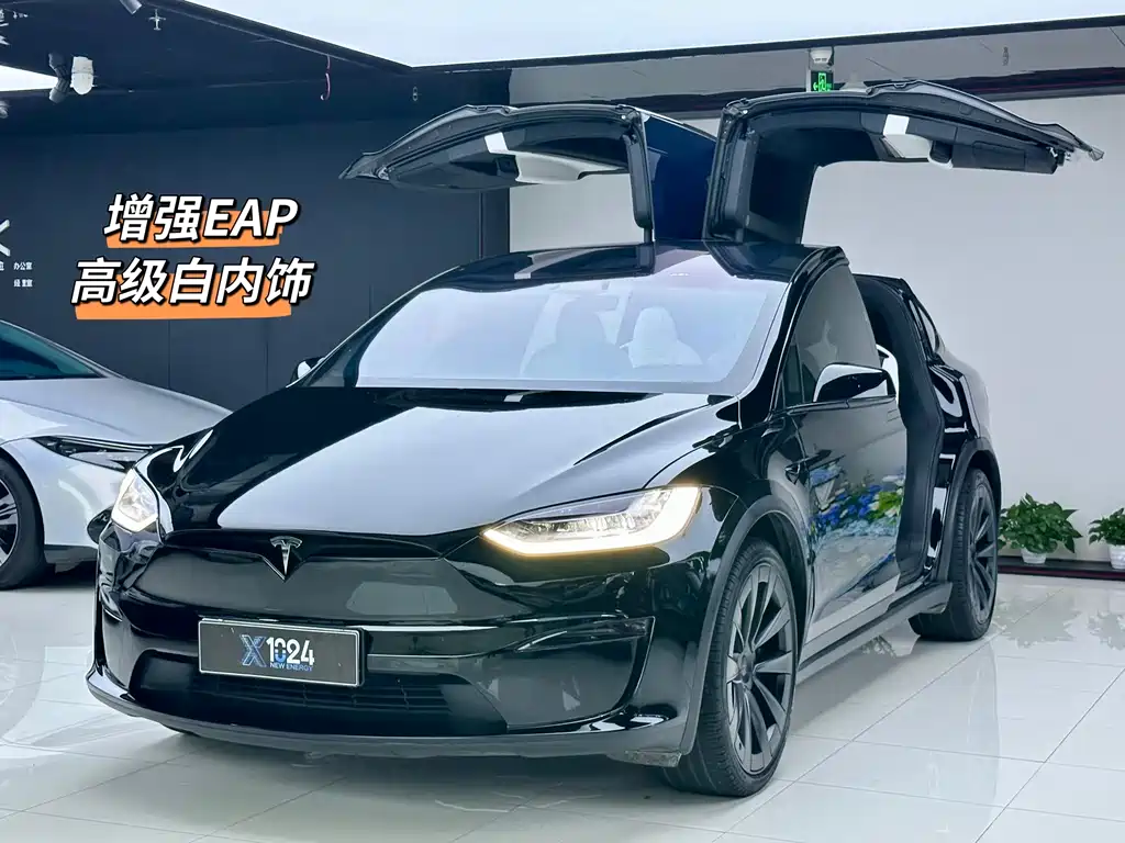 Tesla Model X 2023 — фото 1
