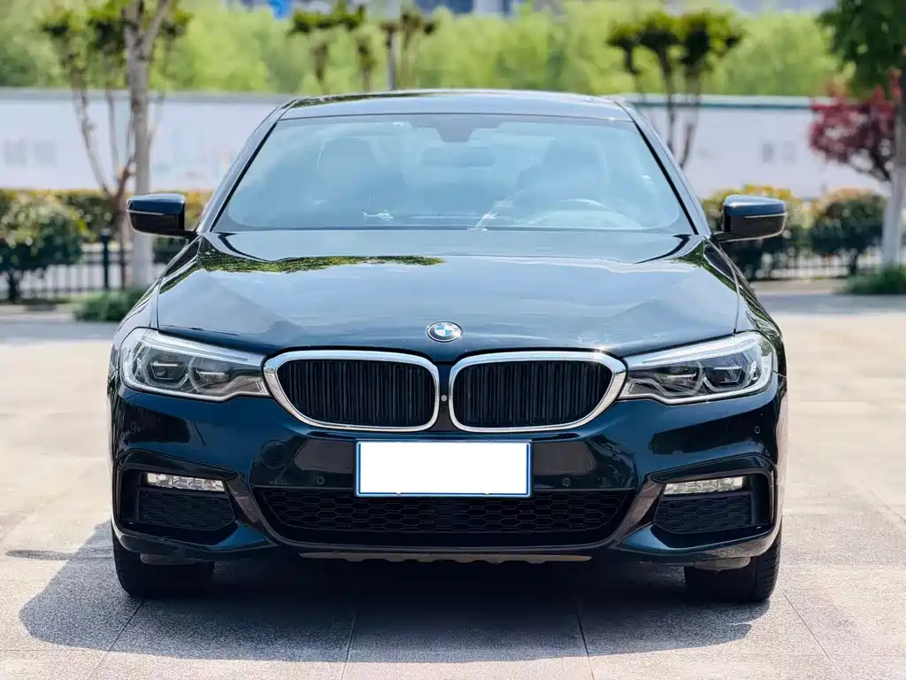BMW 5 Series 2017 — фото 2