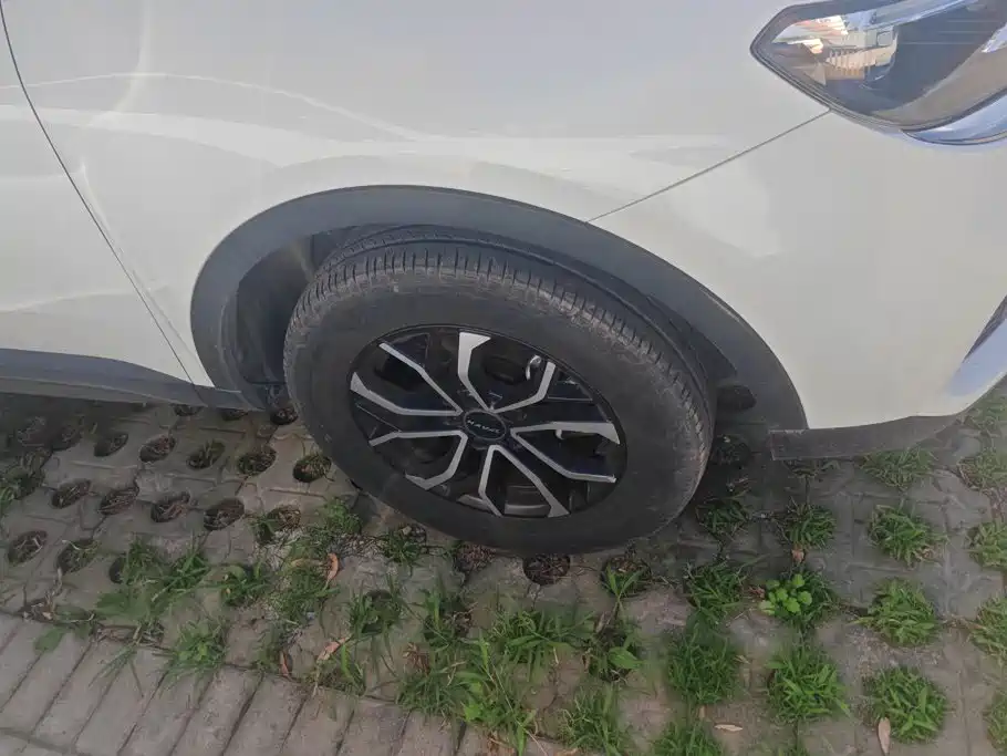 Haval H6 2023