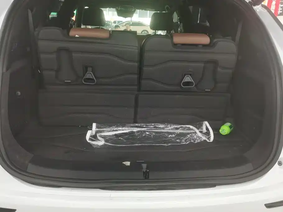 BYD Tang New Energy 2024