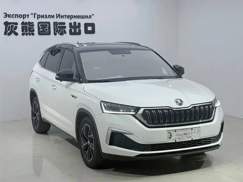 Skoda Kamiq 2022 — фото 3