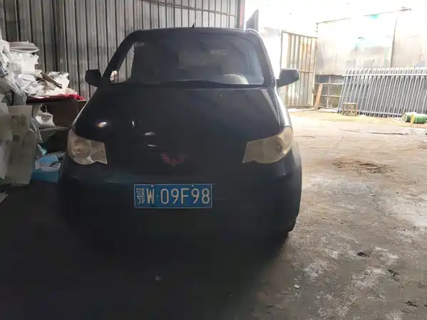 Wuling Hongguang 2013