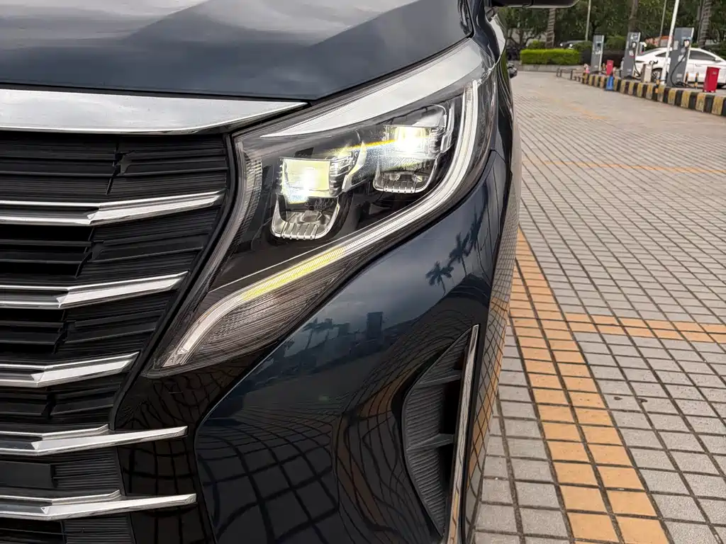 GAC Motor Trumpchi M8 2021 — фото 4