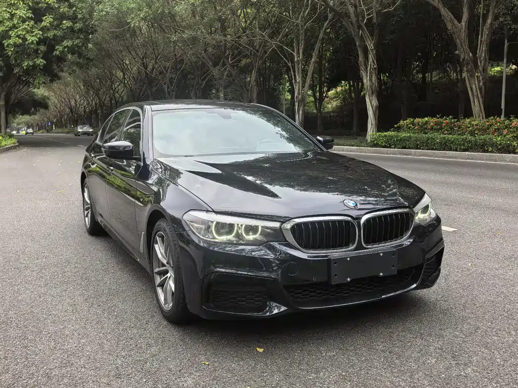 BMW 5 Series 2020