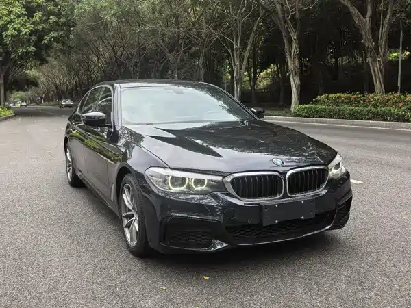 BMW 5 Series 2020